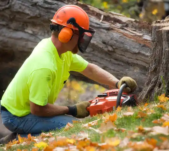 tree services Española